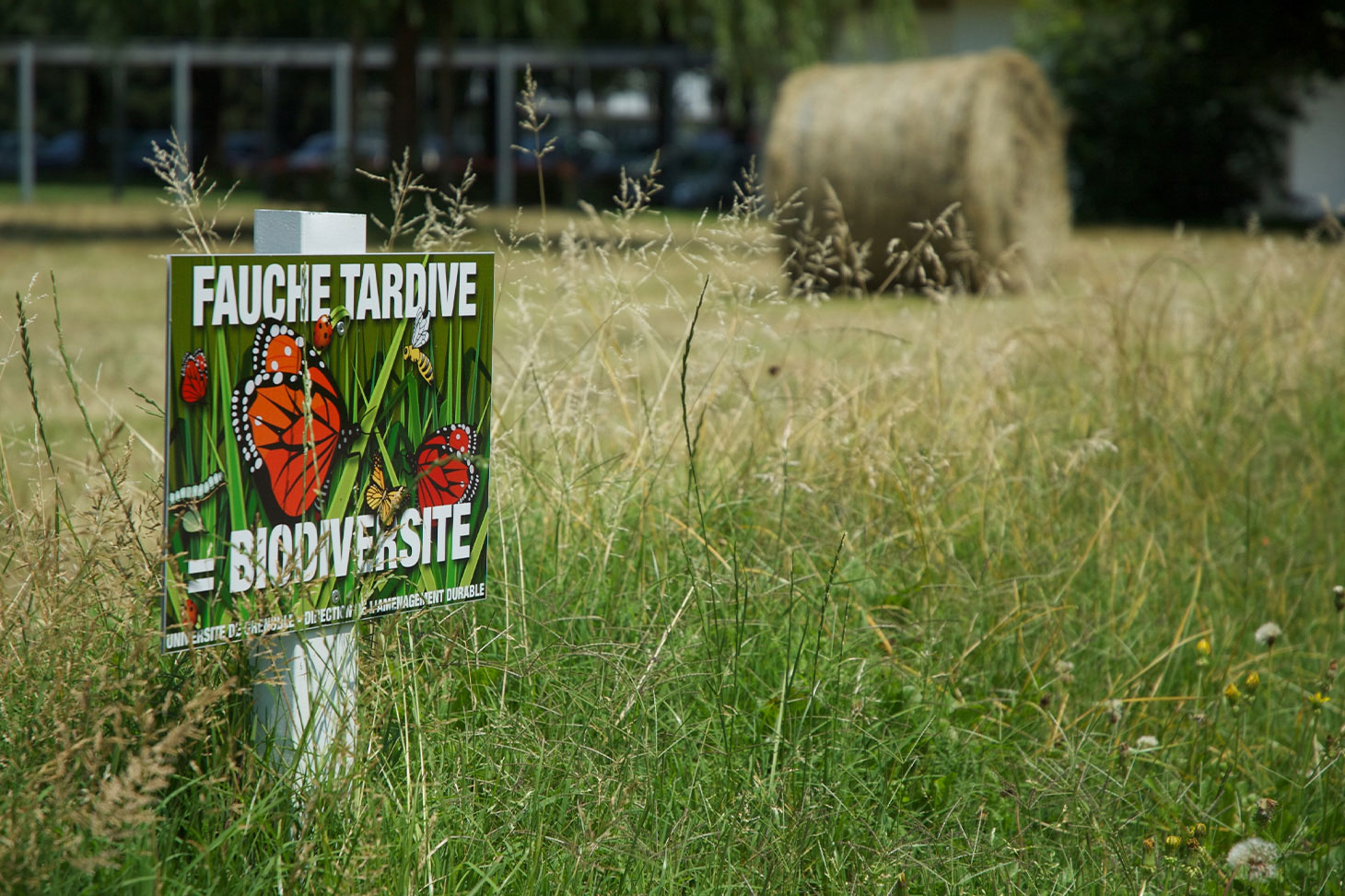 Une pancarte fauche tardive biodiversité plantée dans une prairie du campus